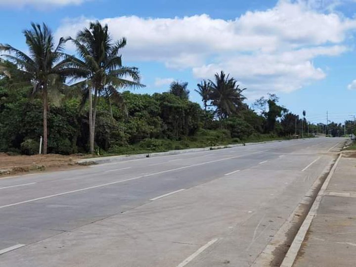500 sqm commercial lot along East-West Road, Halang Amadeo Cavite