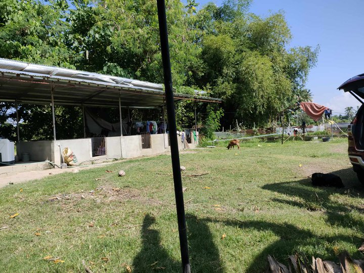 1 hectare Residential Farm For Sale in Koronadal South Cotabato