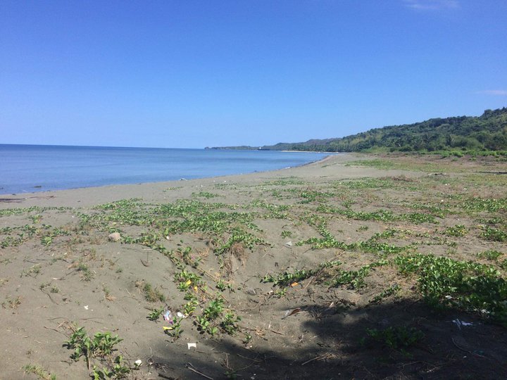 BEACHFRONT LOT IN AGNO PANGASINAN [Beach Property 🏖️] (October 2022) in