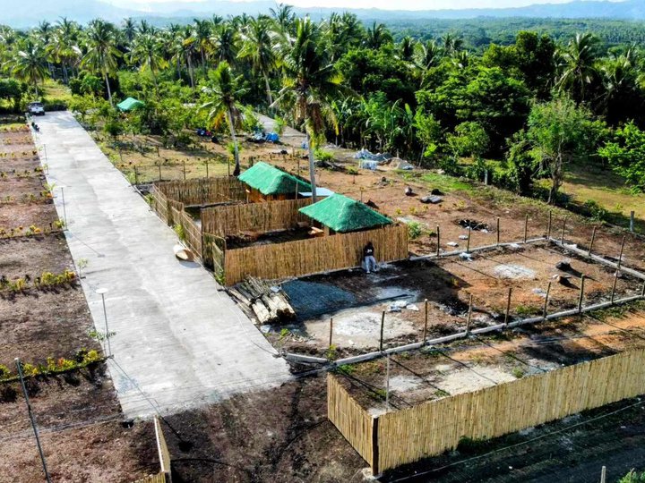 Affordable Lot near the Beach in Laiya 4 Ibabao