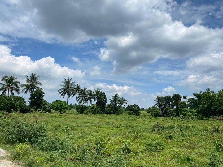Residential Lot For Sale in Silang Cavite