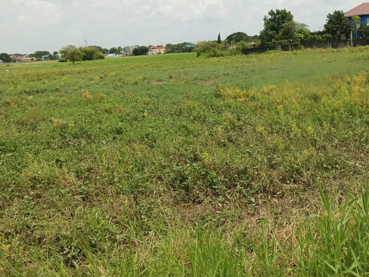 Residential Lot near NLex and Philippine Arena