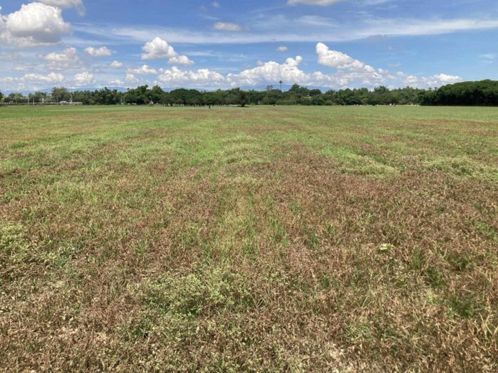 Good for farming and malapit sa access road and national road