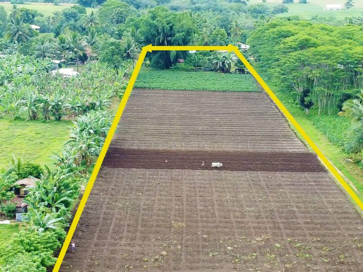 Pasamonte Heights Subdivided Lots for Sale in Talakag Bukidnon