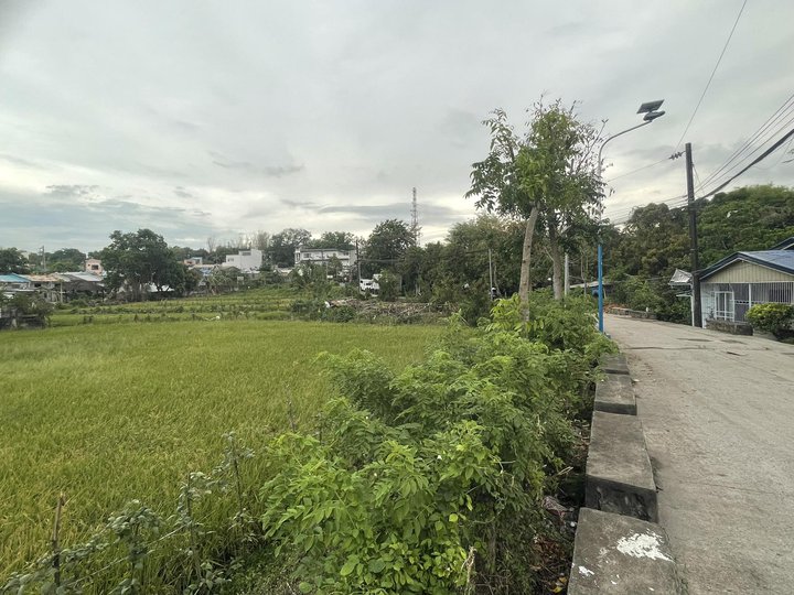 1000 SQM LOT FOR SALE-CASH