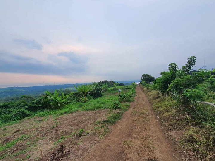 Affordable Farm Lots in Pililia 380k only WITH SKYRANCH SOON