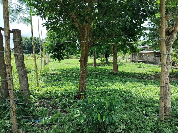 subdivided residential farm for sale in Laiya