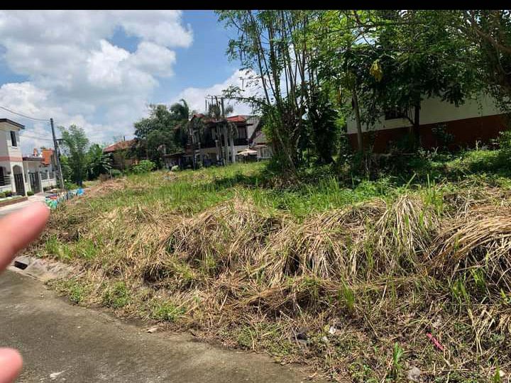 Residential Lot in Sto.Tomas Batangas