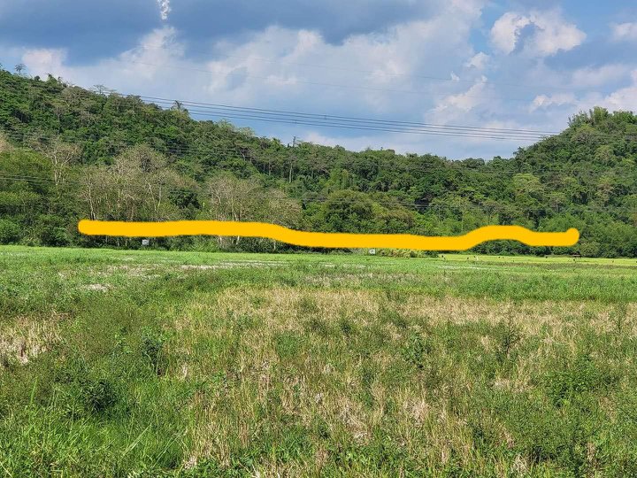 100 SQ.M RESIDENTIAL AND FARM LOT FOR SALE IN MACABUD, MONTALBAN RIZAL