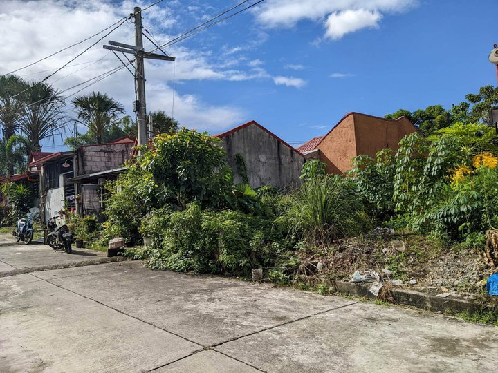 100 sqm Residential Lot For Sale in Santa Maria Bulacan