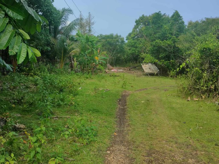 700 sqm Residential Lot For Sale in Bool, Tagbilaran City Bohol