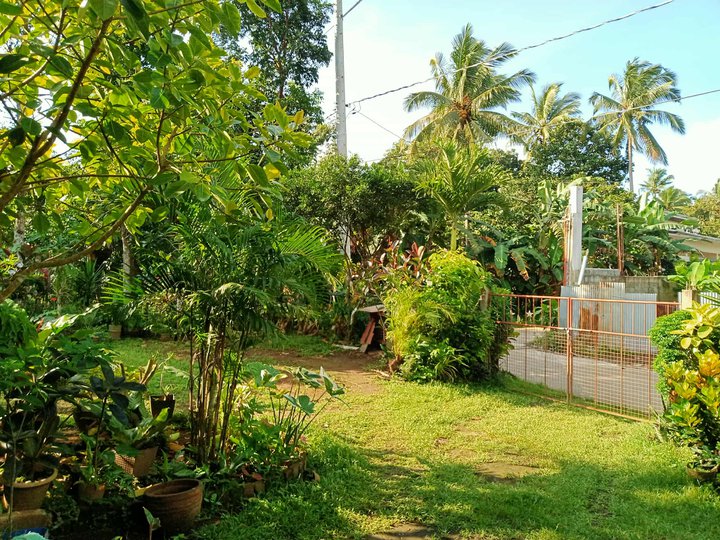 1000 sqm Residential Farm Lot For Sale Clean Title Indang Cavite