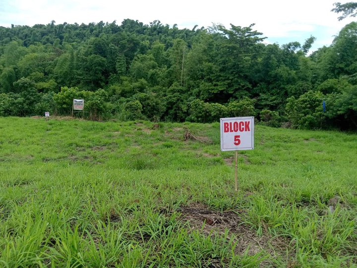 Residential and Farm Lot in Brgy Quisao