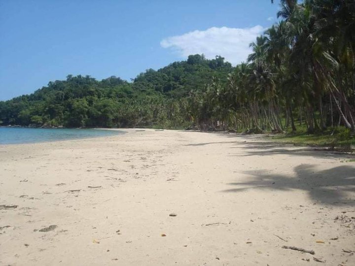 BEACH LOT WITH BIG FRONTAGE FOR SALE AT PUERTO PRINCESA CITY, PALAWAN ...