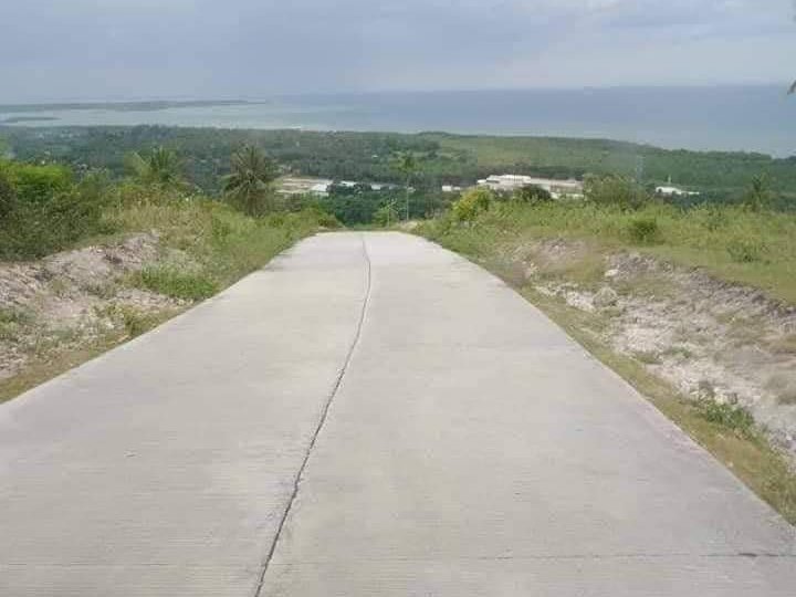 200 sqm Residential Lot For Sale in sibonga Cebu