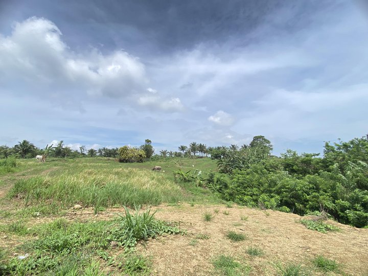 CHEAPEST LOT FOR SALE IN SILANG CAVITE