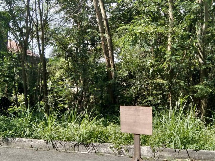 450sqm Residential Lot in Grandheights Subd,Antipolo Rizal