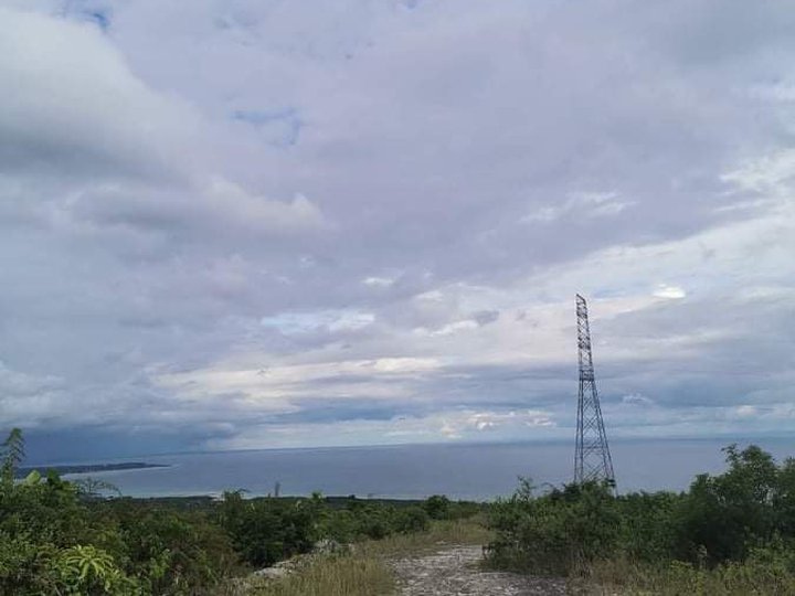Overlooking seaview residential lot for sale in sibonga cebu