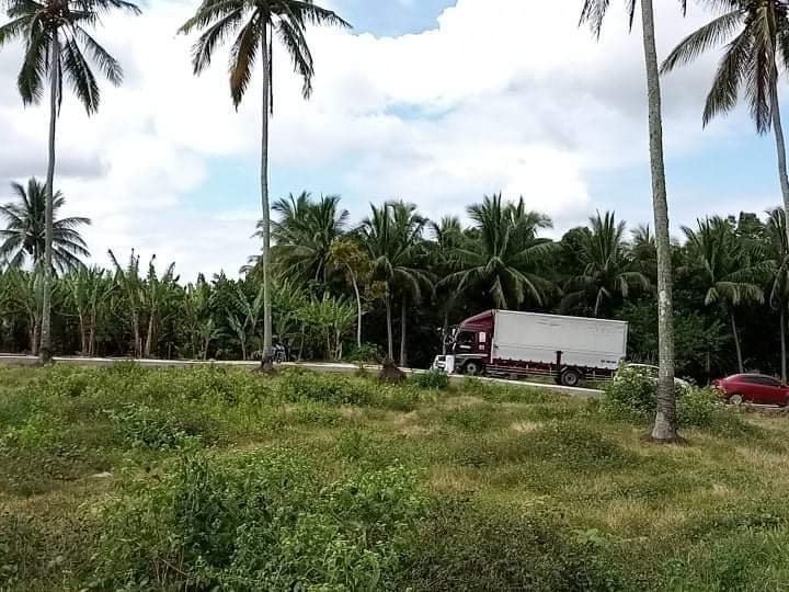 Resi-farm for Sale at Tamacan Amadeo Cavite