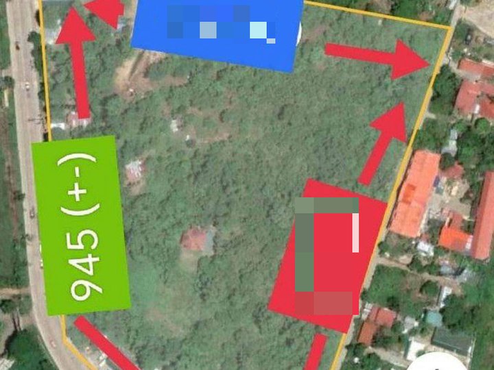 50000 sqm Residential Lot For Sale in Puerto Princesa Palawan