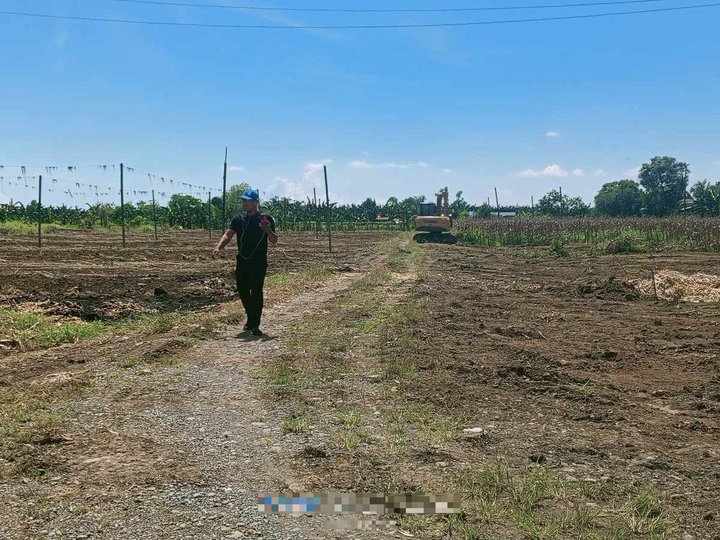 Installment 1,300 sqm Residential Farm Lot For Sale in Santo Tomas Davao Del Norte