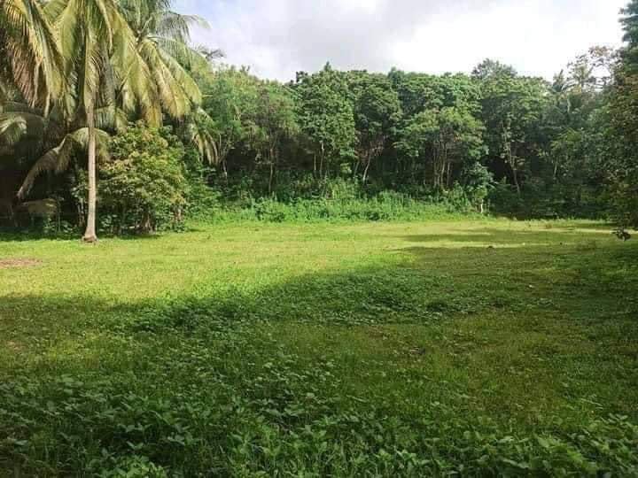 COMMERCIAL AND RESIDENTIAL LOT IN CAMOTES