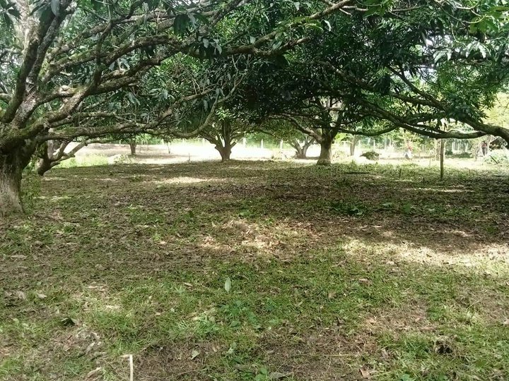 Hurry and invest in our affordable farm lot at San Juan Batangas