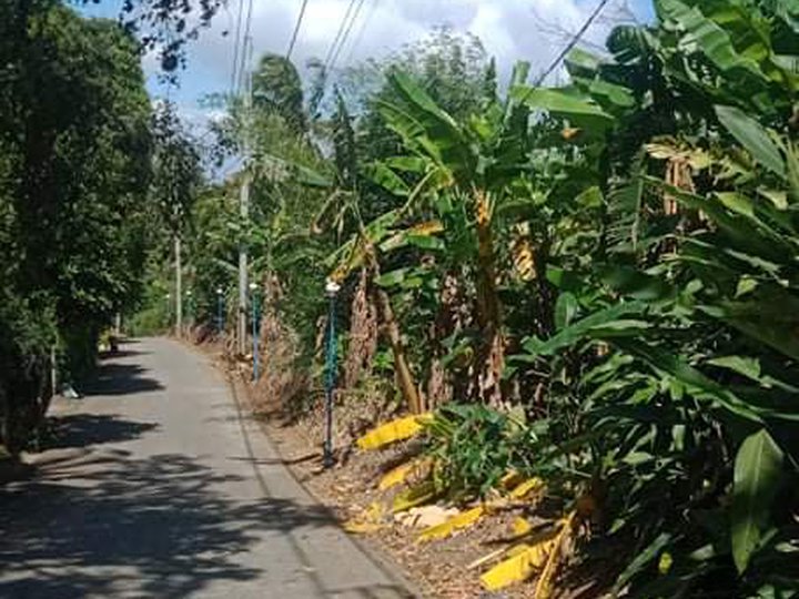 9169sqm. Land for sale Alfonso Cavite