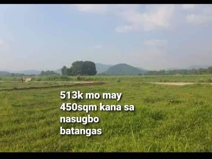 513k only ang 450sqm. May farm lot kna sa nasugbo batangas