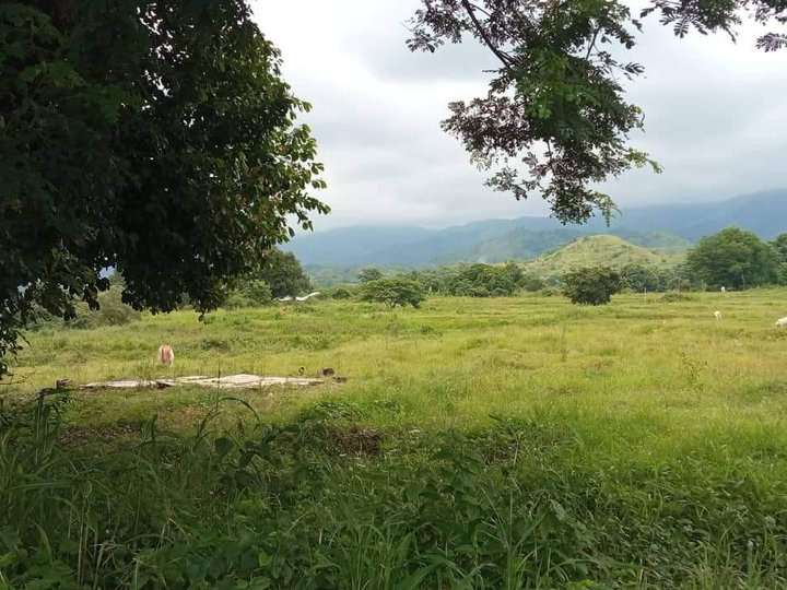 4.7 hectares Farm Lot for sale, clean title (TCL)