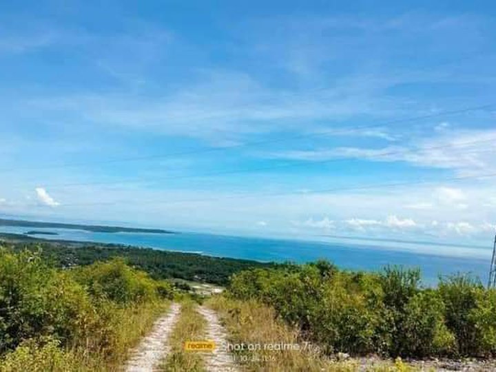 236 sqm Residential Lot For Sale in Sibonga Cebu