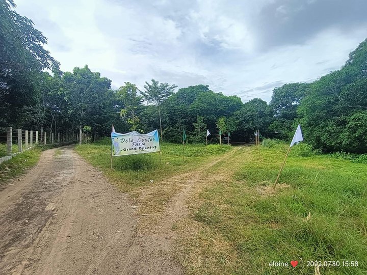 Farm Lot for Sale Located at Dela Costas Farm Pp