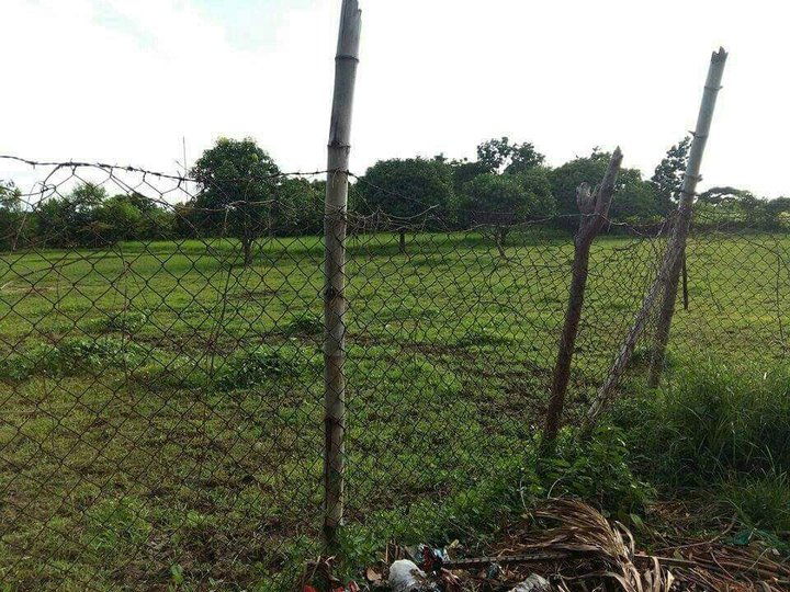 500 sqm Lot For Lease in Calatagan Batangas