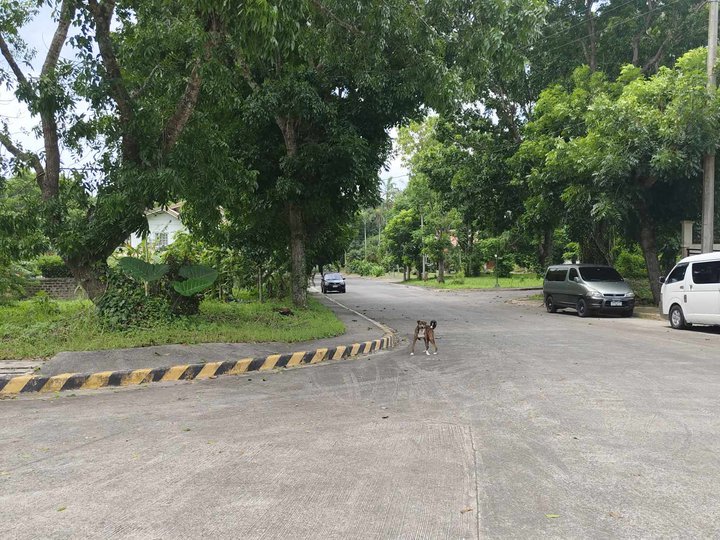 461 sqm Residential Lot For Sale in Tagaytay Cavite