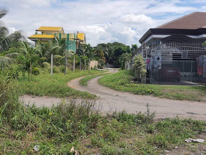 395 sqm  Lot For Sale Near to Highway!