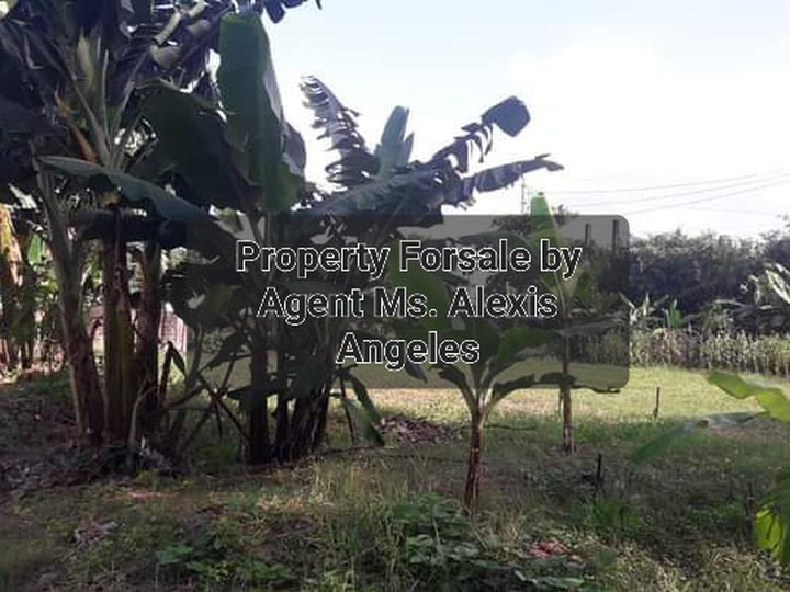 500 sqm Residential Lot For Sale By Owner in Baliuag Bulacan
