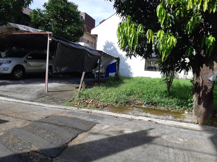 160 sqm Residential Lot For Sale in Cainta Rizal