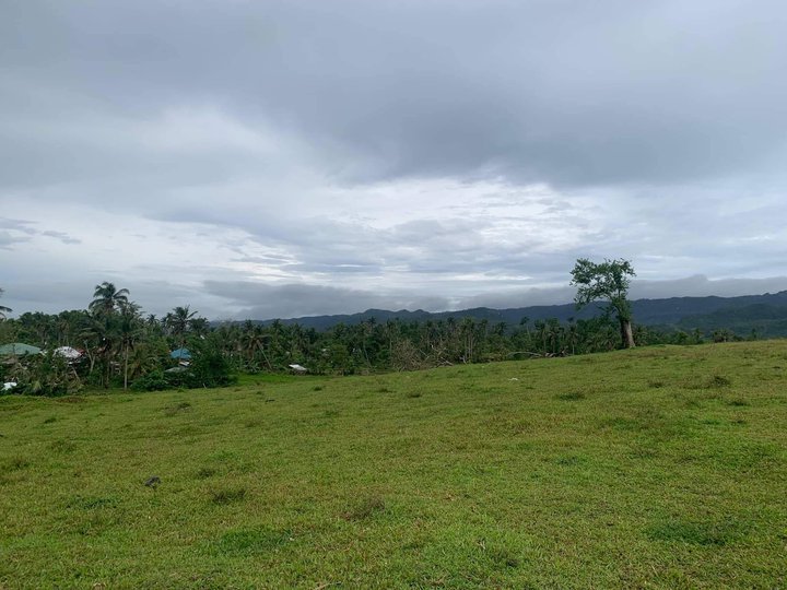 Pre Selling Subdivision Lot for Installment in Bohol