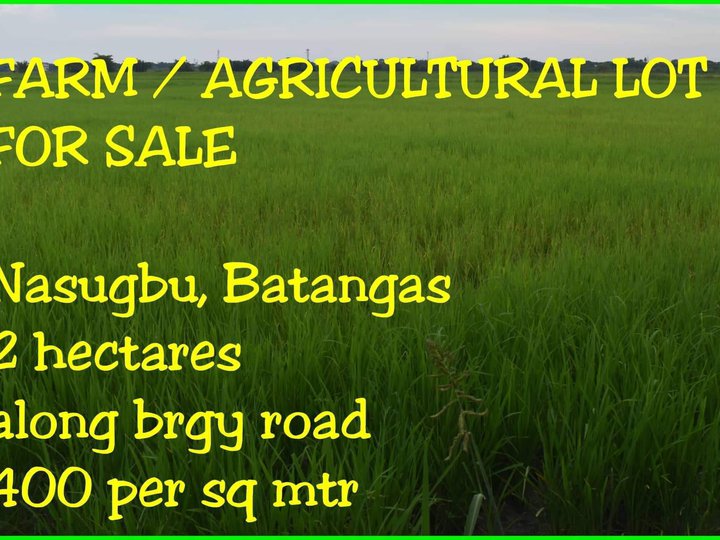 2 hectares farm lot at nasugbo batangas