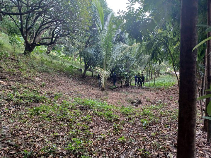 495SQM Lot for sale in Antipolo City