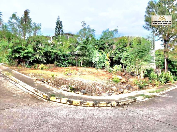 Overlooking 262 sqm Residential Lot For Sale in Antipolo Rizal