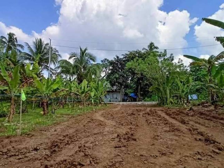 Installment Residential farm lot in Alfonso Cavite-Corner Lot