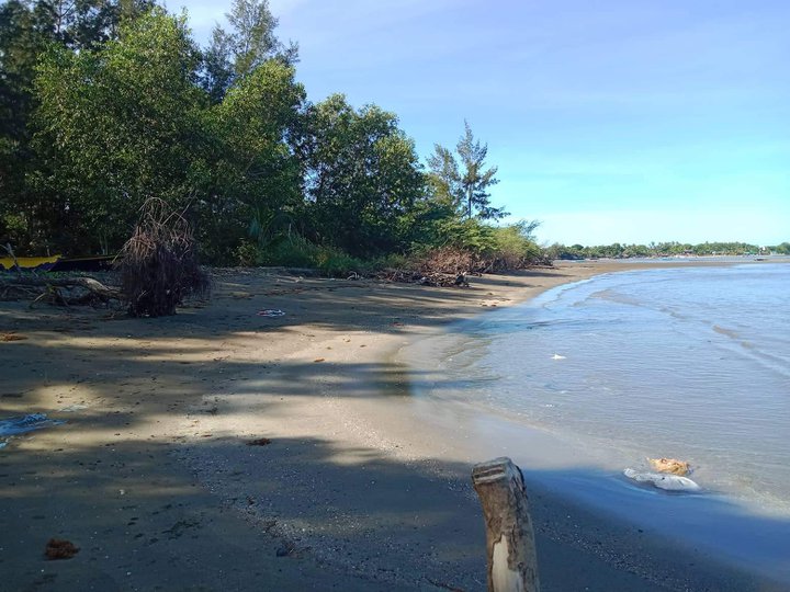 10000 sqm Beach Property For Sale in Palauig Zambales