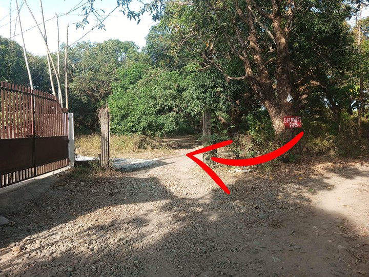 500K only!!!! 470 sqm Residential Lot For Sale in Iba Zambales