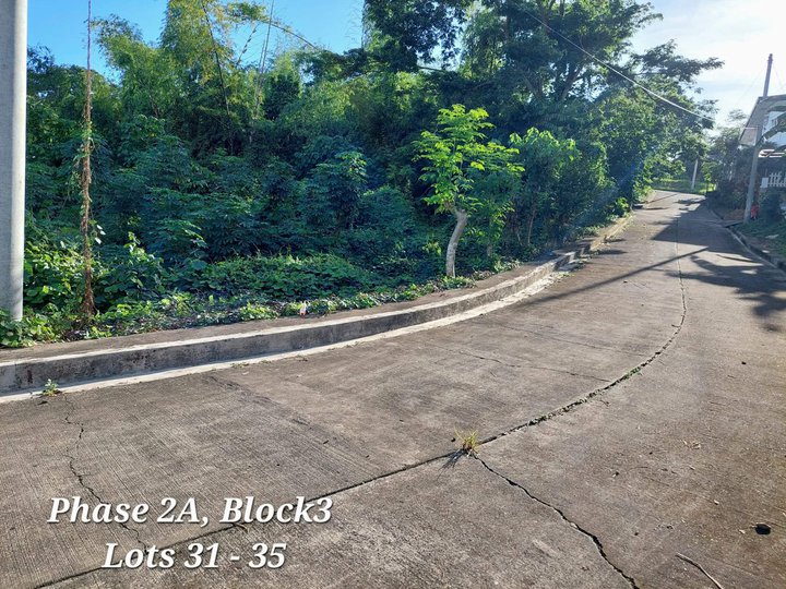 150 sqm and up Residential Lot For Sale in Talisay Cebu