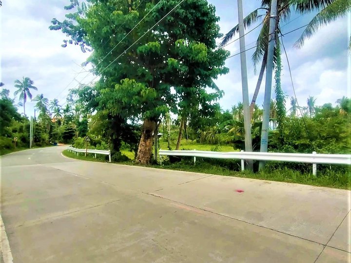 76 sqm Raw Land For Sale in Alonguinsan Cebu daplin sa hi way