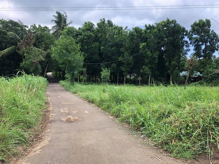 2000 sqm Residential Farm For Sale in Calaca Batangas