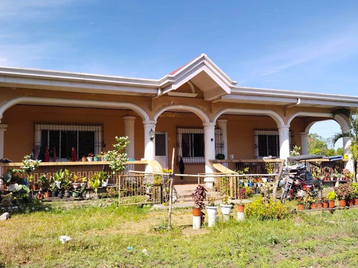 HOUSE AND LOT WITH RICE FIELD FOR SALE IN ZAMBALES