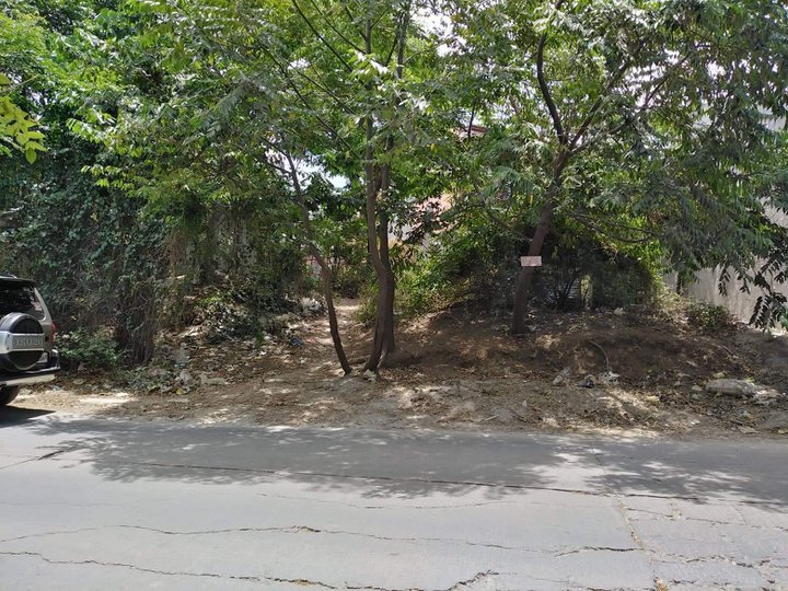 122 sqm Commercial Lot For Sale in Trece Martires Cavite