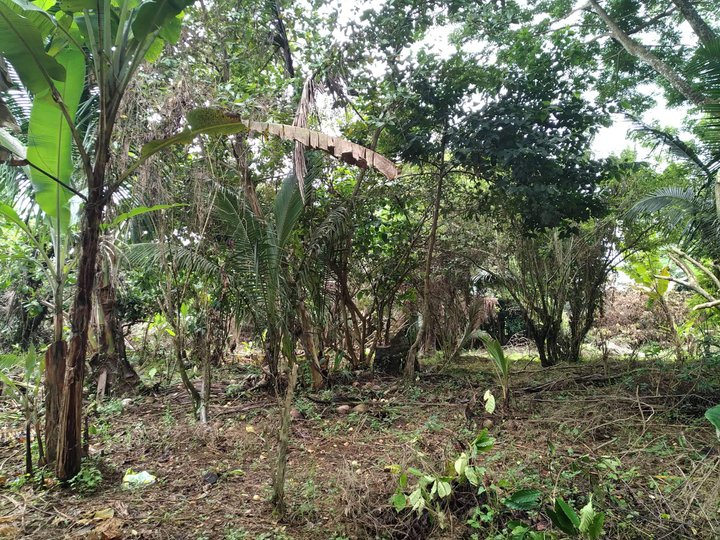 1000 sqm Residential Lot for Sale in Sta. Theresa Alfonso